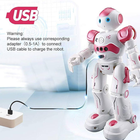 Interaktiva utbildningsrobotar - NovaBot