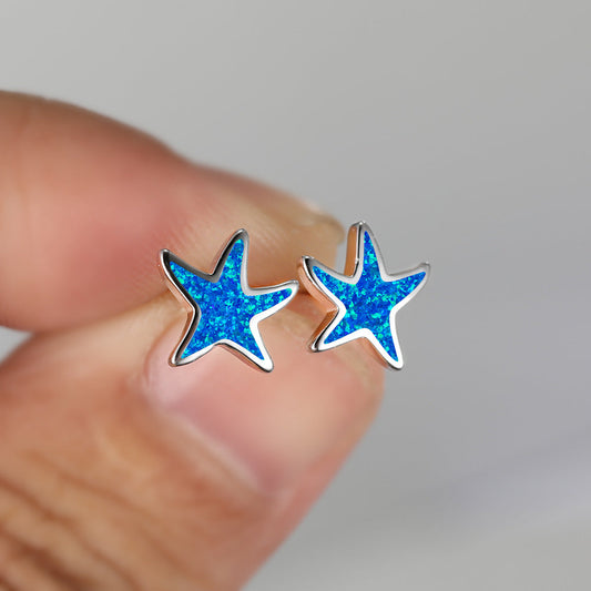 Blaue Stern-Ohrringe, Glitzer, Silberfassung, Modeschmuck, Damenaccessoire, Geschenkidee.