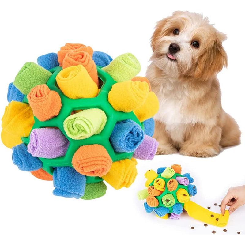 Hund mit buntem Schnüffelball-Spielzeug, ideal für neugierige Haustiere, aus weichem Stoff.