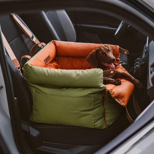 Grünes und oranges Hundesitzkissen aus Kunstleder im Auto, ideal für Reisen mit Haustieren.