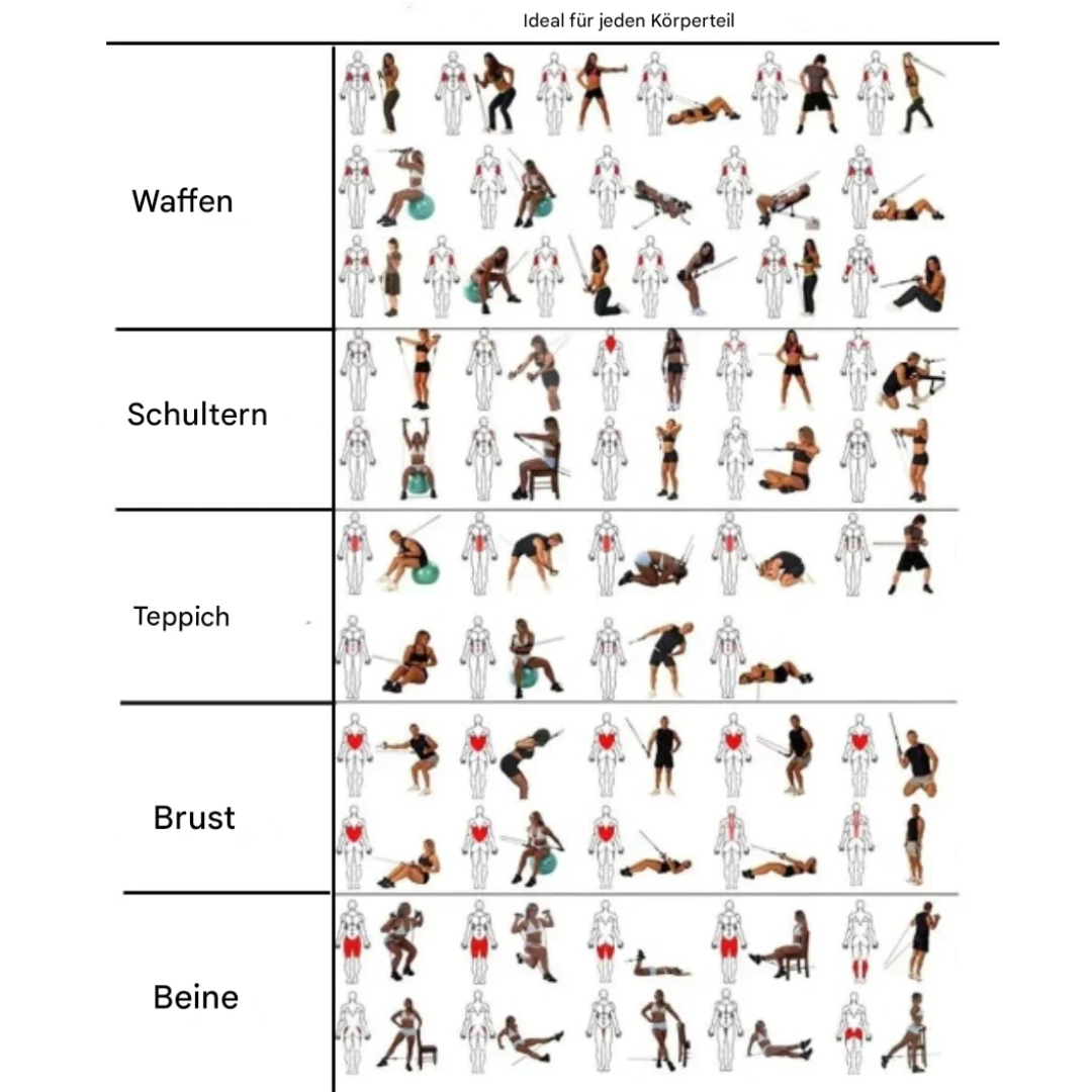 Übungsanleitung für Ganzkörpertraining, illustriert mit Figuren, kategorisiert nach Körperteilen.