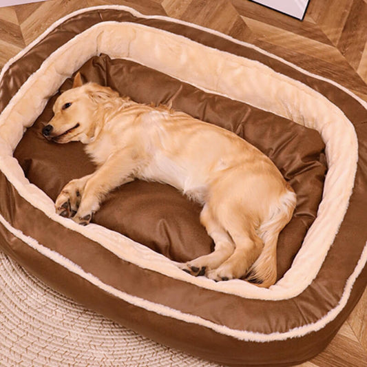 Schlafender Hund im braunen orthopädischen Hundebett, flauschig, warm, gemütlich.