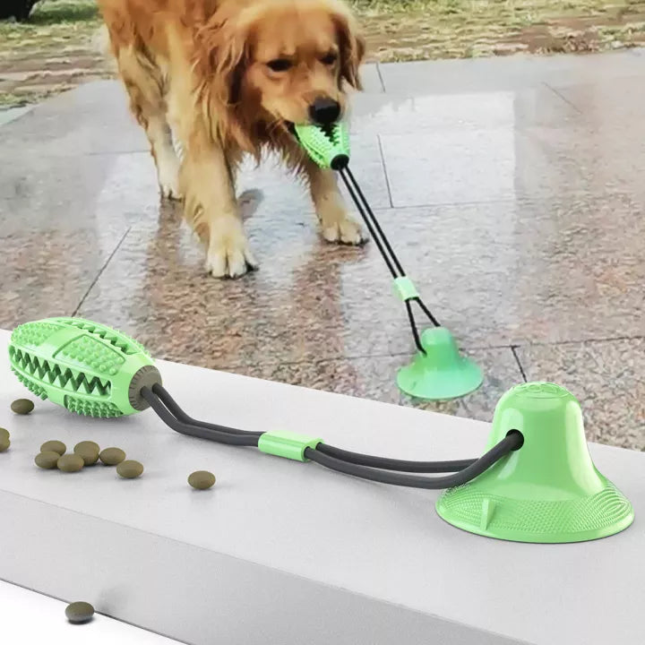 Grüner Hundespielzeug-Ball mit Saugnapf, interaktives Kauspielzeug für Hunde.