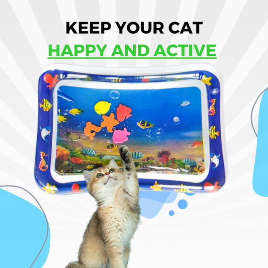 Katzenspielmatte mit bunten Fischen, interaktiv, blau, hält Katzen aktiv und glücklich.