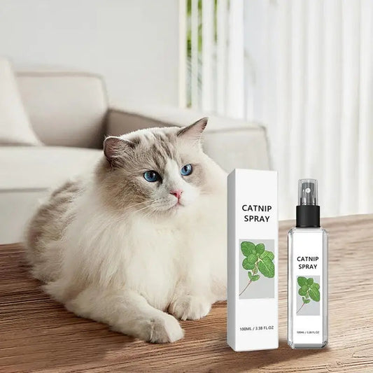 Katze neben Catnip-Spray-Flasche und Verpackung auf Holztisch im Wohnzimmer.