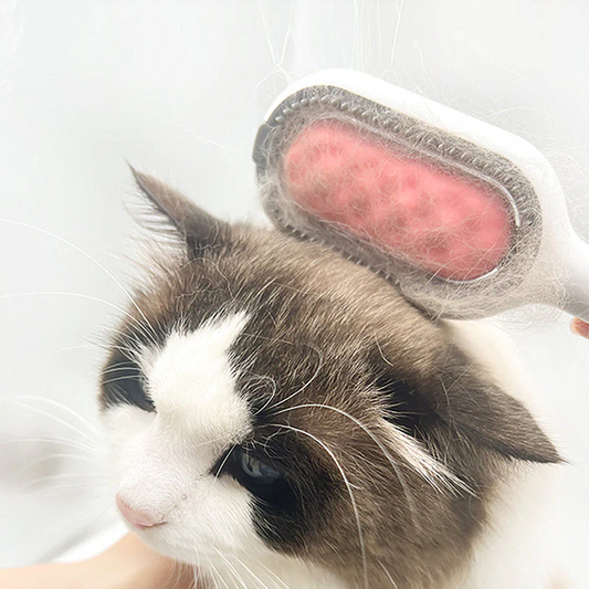 Katzenbürste mit rosa Polster, entfernt lose Haare von weiß-brauner Katze, Haustierpflege.
