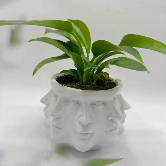 Weißer Blumentopf mit Gesichtern, Zimmerpflanze, modernes Design, Keramik, Dekoration