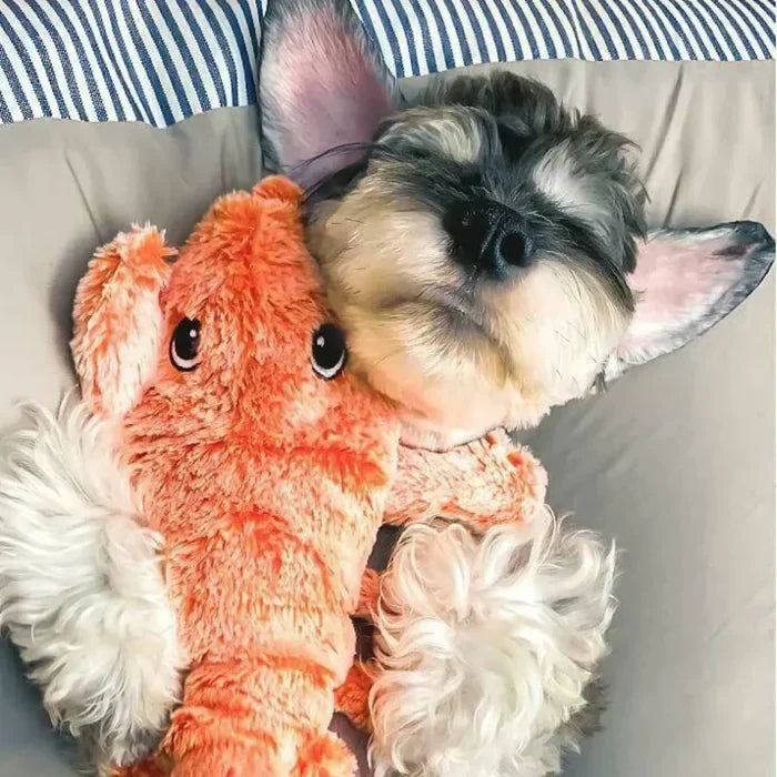 Hund kuschelt mit orangefarbenem Plüschspielzeug auf gestreiftem Kissen, süßes Haustierbild.