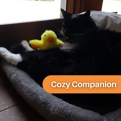Schwarze Katze mit gelbem Plüschentchen auf grauem Katzenbett am Fenster.