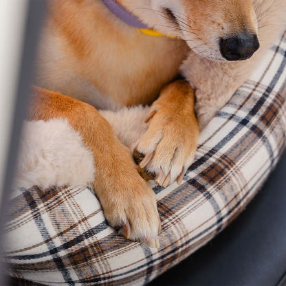 Plushy bilstol för husdjur – RideSafe CozySeat