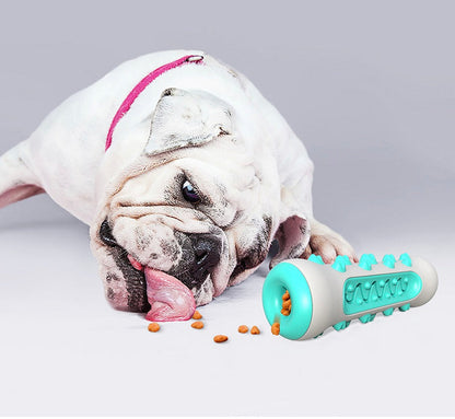 Tandrengörande tuggleksak för hundar – Chewly
