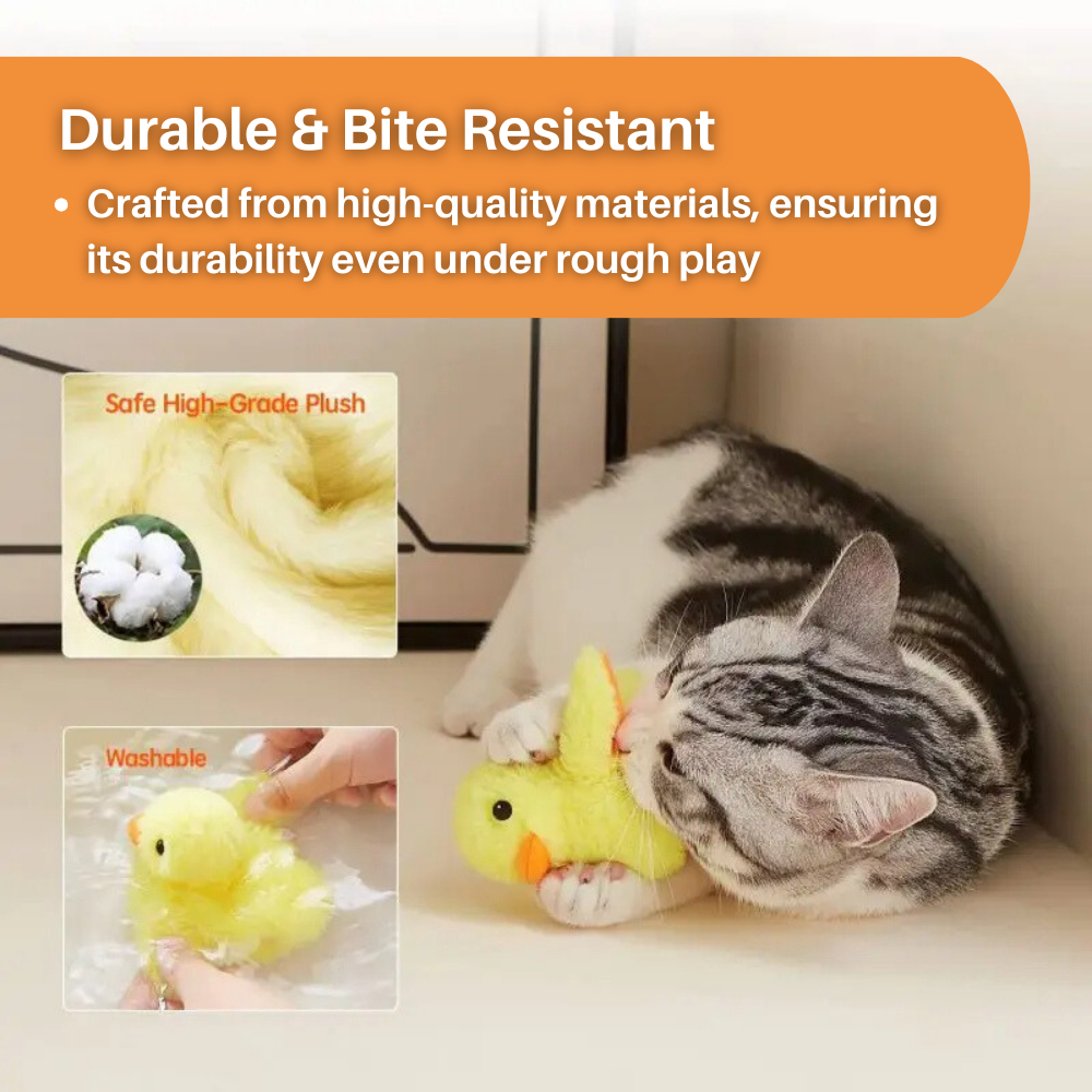 Katze spielt mit gelbem Plüschspielzeug, langlebig, bissfest, waschbar, hochwertiges Material.