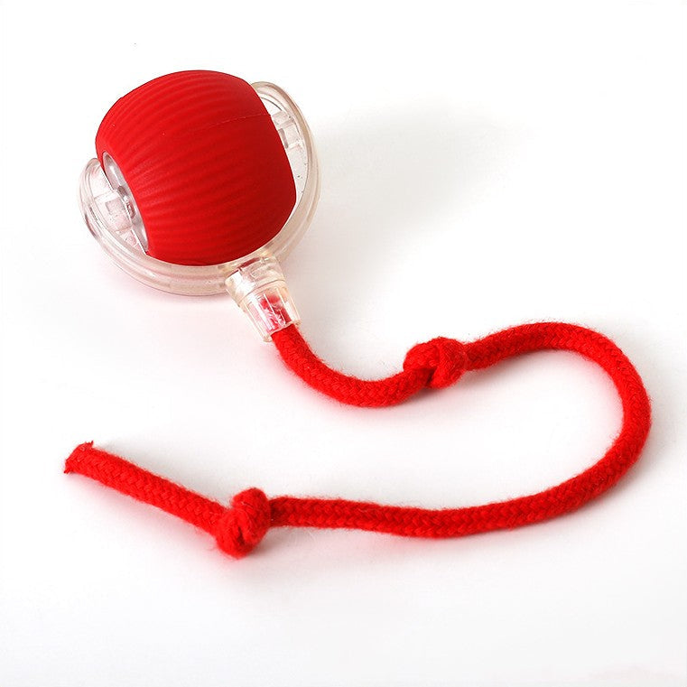Rotes Hundespielzeug mit Seil, Gummikugel, interaktives Kauspielzeug für Hunde.