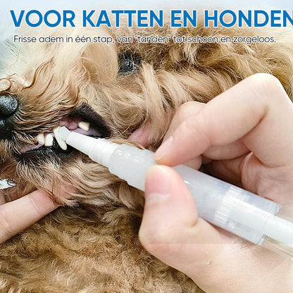 Hund erhält Zahnpflege mit Zahnbürste, geeignet für Katzen und Hunde, Zahnhygiene, Tierpflege.