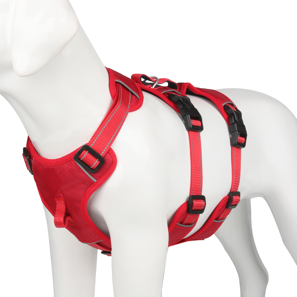 Rotes Hundegeschirr aus Nylon mit verstellbaren Schnallen, ideal für sicheres Gassigehen.