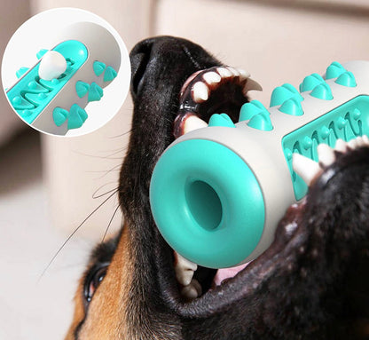Tandrengörande tuggleksak för hundar – Chewly
