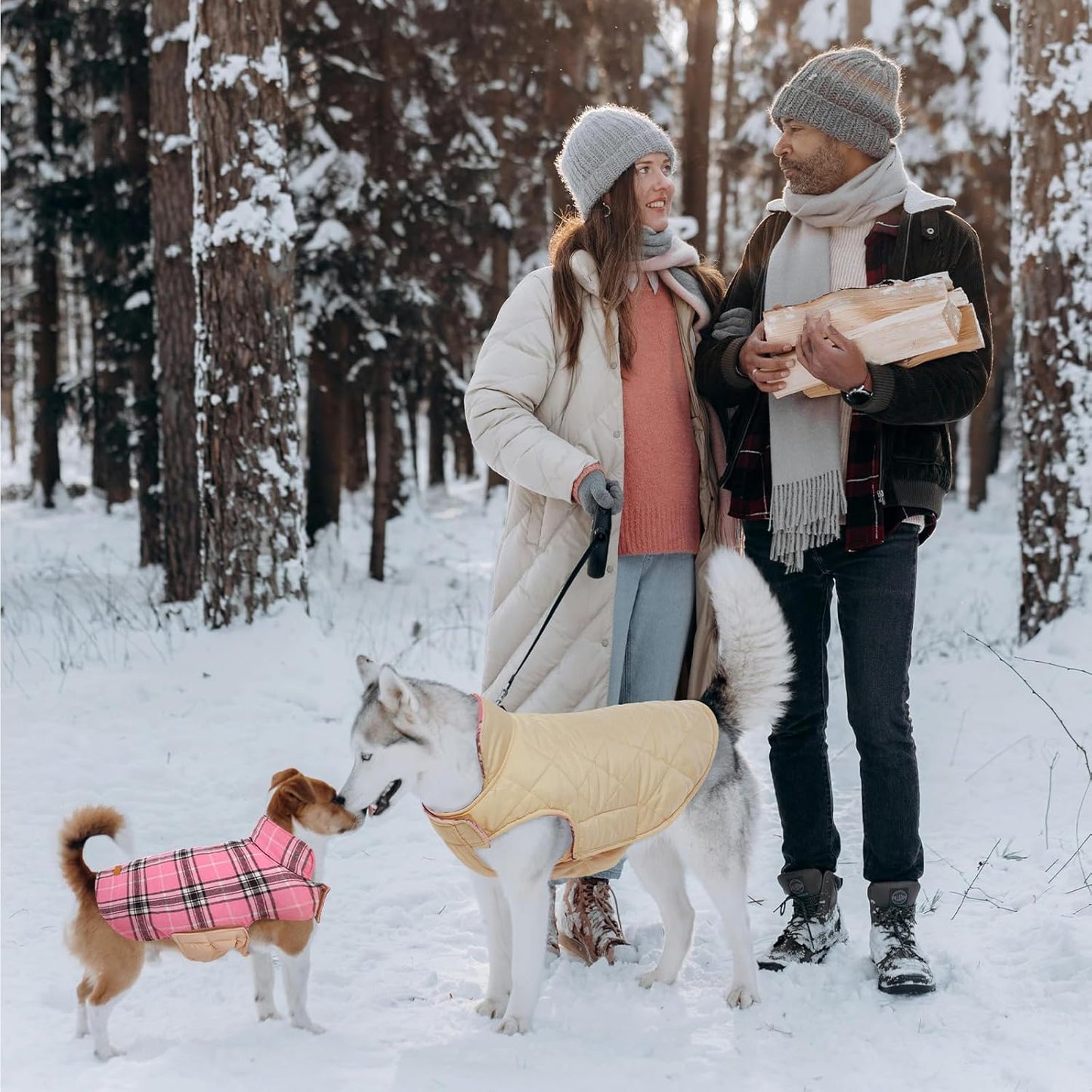 Paar im Winterwald mit Hunden in Mänteln, tragen Holz, Schnee, Wintermode, Outdoor-Aktivität.