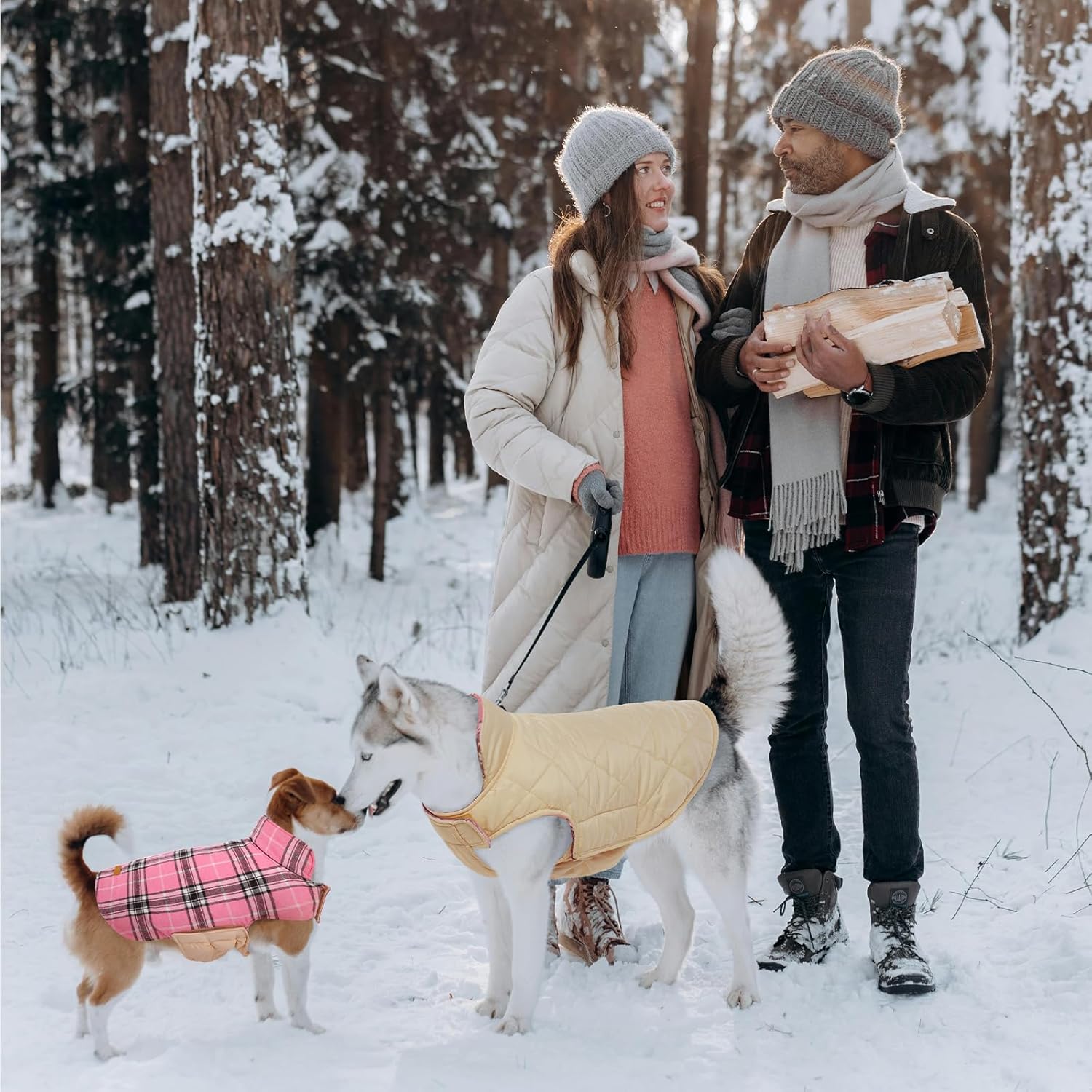 Paar im Winterwald mit Hunden in Mänteln, tragen Holz, Schnee, Wintermode, Outdoor-Aktivität.
