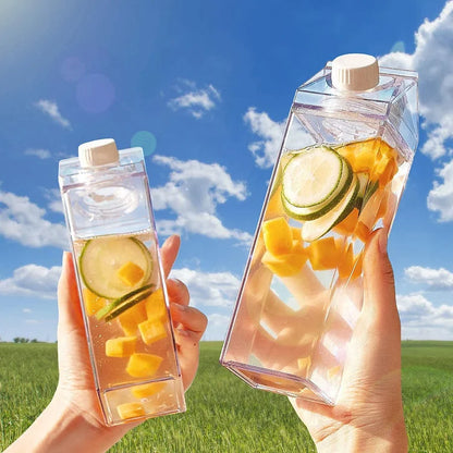 Zwei transparente Trinkflaschen mit Zitrone und Gurke, gehalten vor blauem Himmel und Wiese.