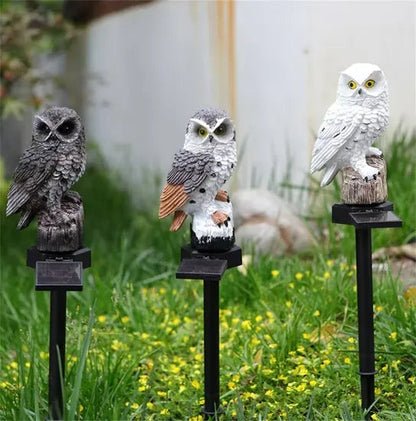 Tre ugglor med solcellspaneler på spett i gräset med små gula blommor, fotograferade i dagsljus. 11