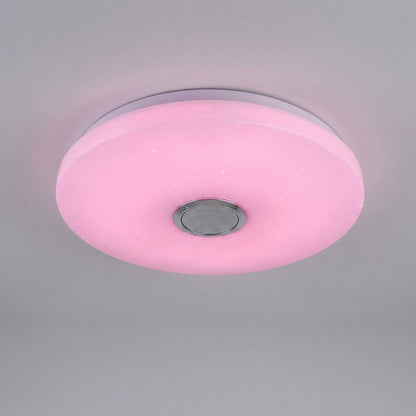 App Controlled Ceiling Light -  Radiomuse
