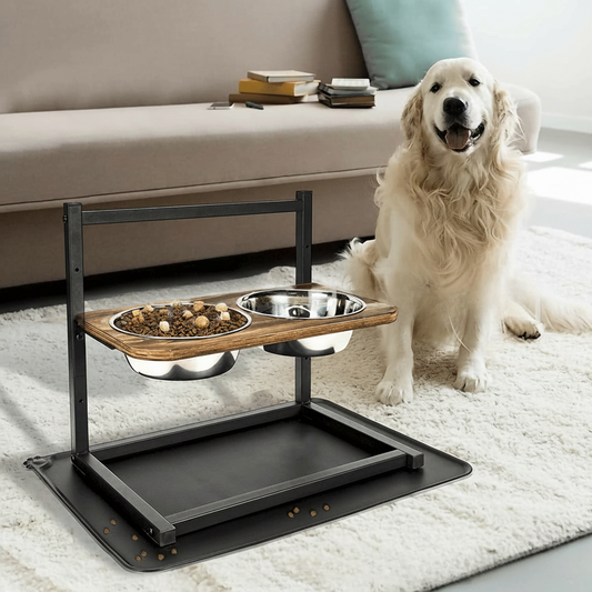 Premium Förbättrad hundmatstation - SnackHaven