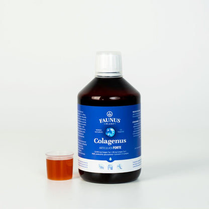 Colagenus Gelenke Forte – koncentrerat flytande kollagen, 12 000 mg typ 1-kollagen och 40 mg typ 2-kollagen. Flaska 500 ml. Stöder ledernas hälsa, minskar inflammationer och reumatiska smärtor, regenererar muskler och ligament.