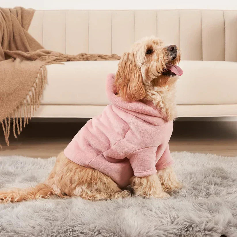 Hund in rosa Fleece-Hoodie auf grauem Teppich vor beigem Sofa, Haustiermode, gemütlich, warm.