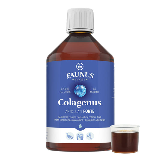 Colagenus Gelenke Forte – koncentrerat flytande kollagen, 12 000 mg typ 1-kollagen och 40 mg typ 2-kollagen. Flaska 500 ml. Stöder ledernas hälsa, minskar inflammationer och reumatiska smärtor, regenererar muskler och ligament.