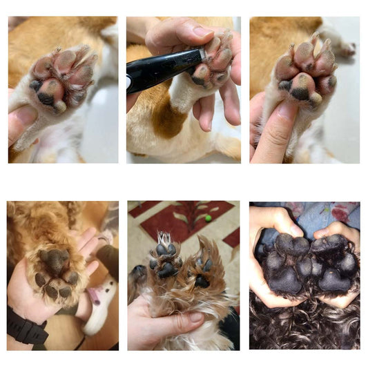 Pälsvård för husdjur - PawPerfect