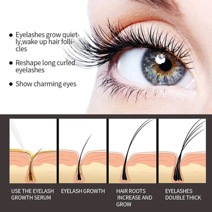 Nahaufnahme eines Auges mit langen, geschwungenen Wimpern, Wimpernserum-Wachstum, Pflege.