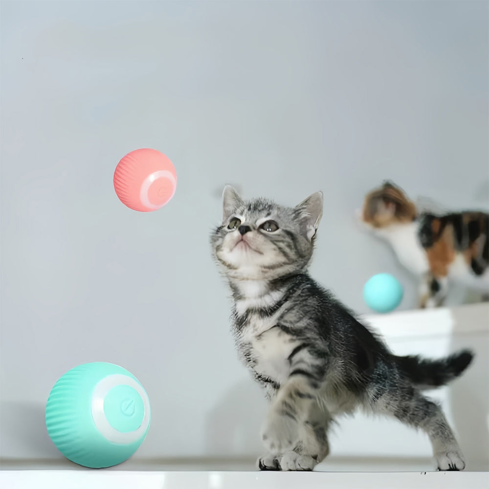 Interaktiv rörlig leksak för katter – WhiskRoll