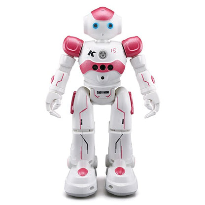Interaktiva utbildningsrobotar - NovaBot