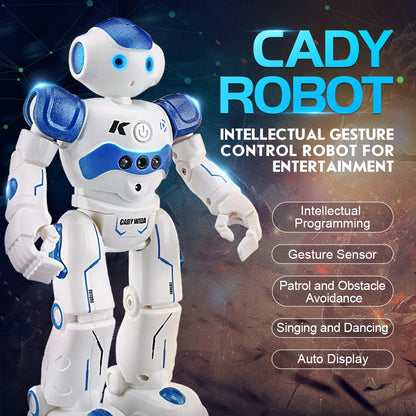 Interaktiva utbildningsrobotar - NovaBot