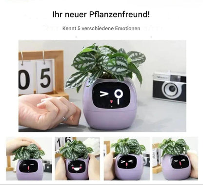 Lila interaktiver Blumentopf mit Gesicht, zeigt fünf Emotionen, Zimmerpflanze, modern, dekorativ.