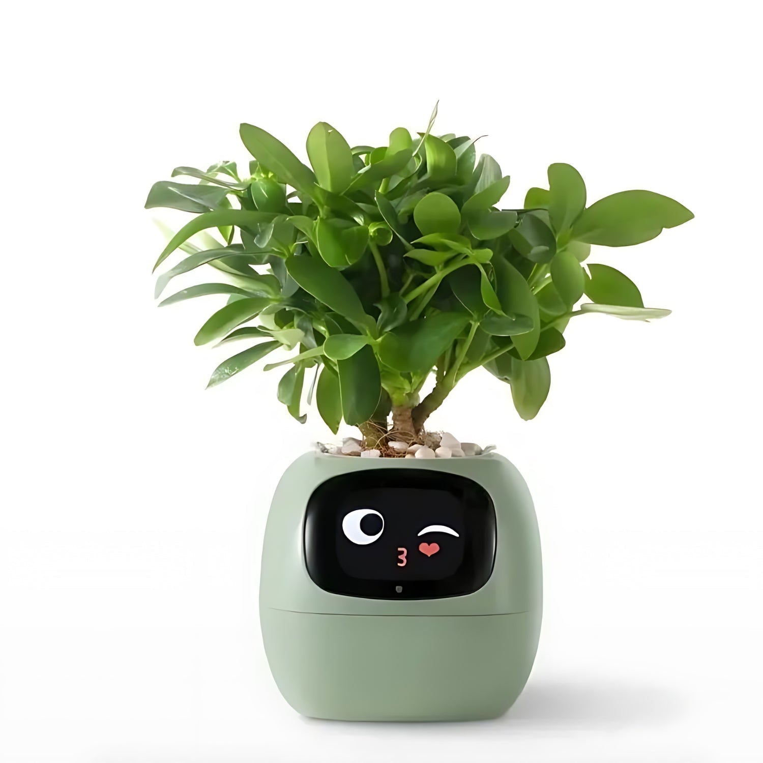 Interaktive smarte Blumentopf, grün, mit Gesichtsanzeige, für Zimmerpflanzen, modern.