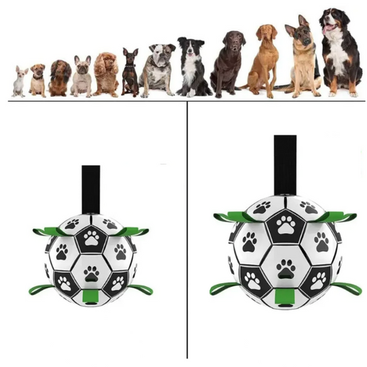 Hållbar hundsportboll med handtag – TugBounce