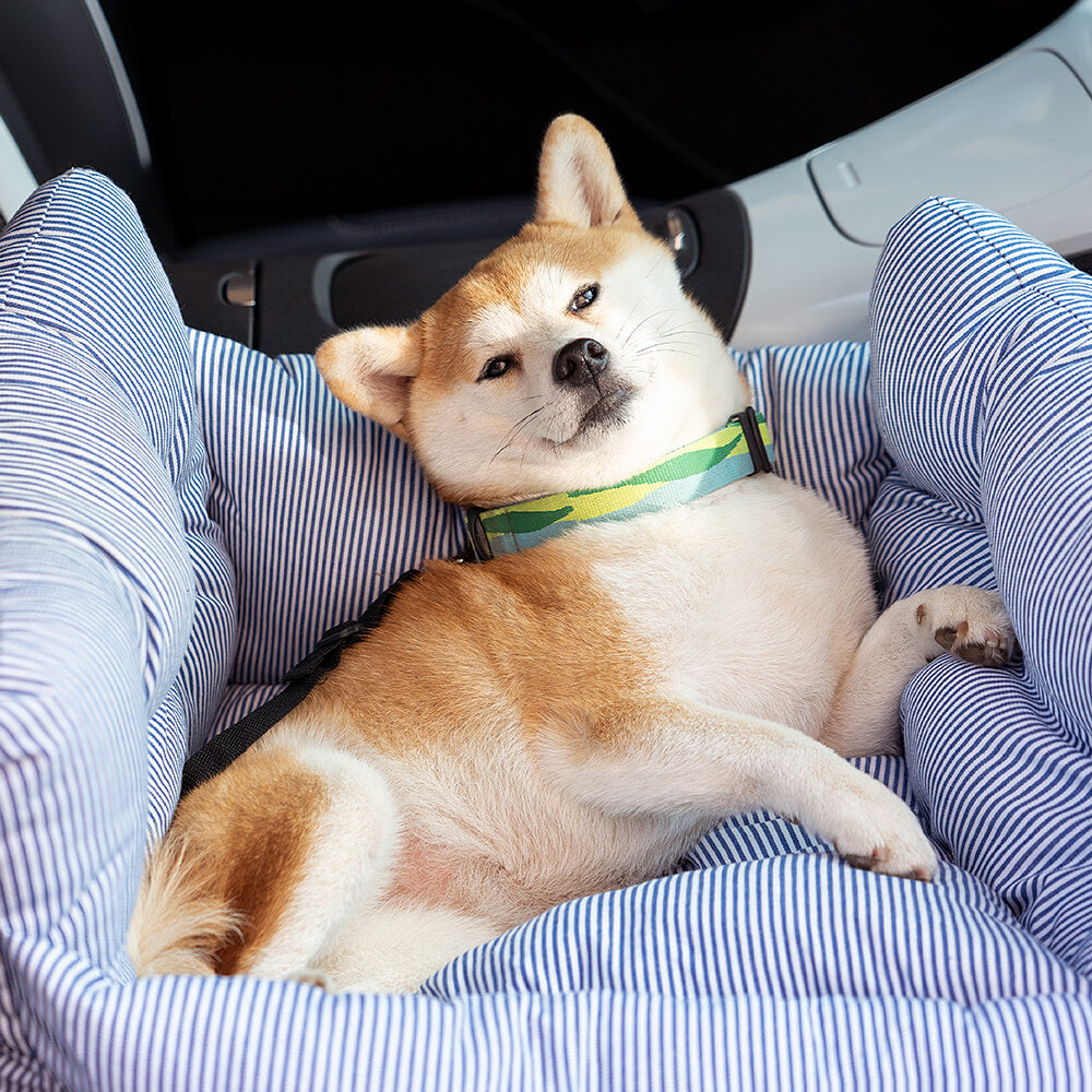 Hund in gestreiftem, tragbarem Autositztierbett, bequem liegend im Auto.