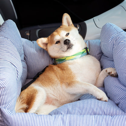 Hund in gestreiftem, tragbarem Autositztierbett, bequem liegend im Auto.