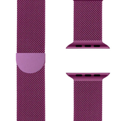 Milano Apple Watch-armband – SteelFlex