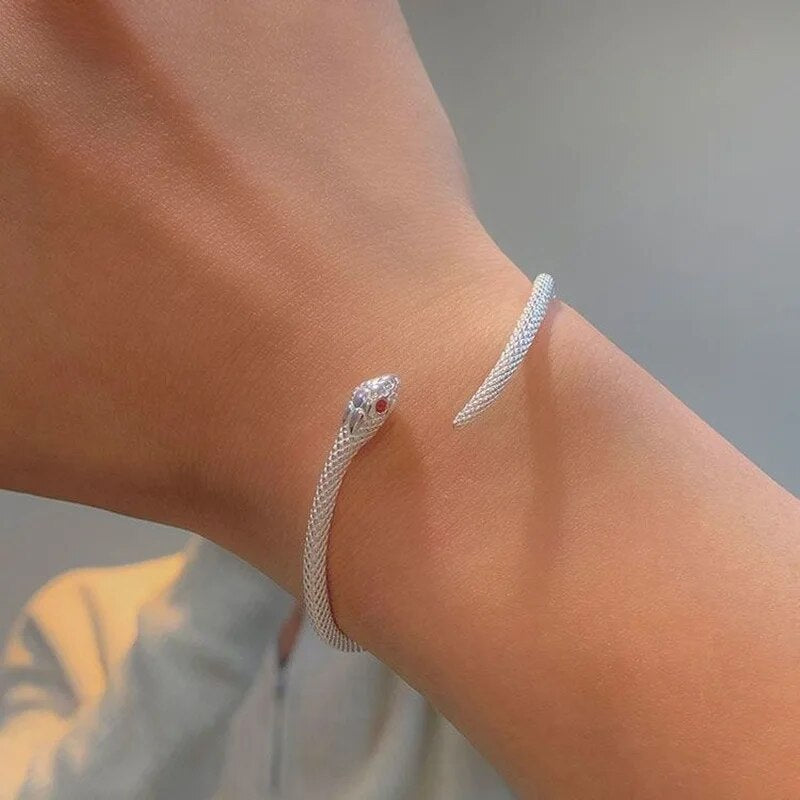 Silbernes Schlangenarmband am Handgelenk, elegantes Design, Schmuck für Damen.