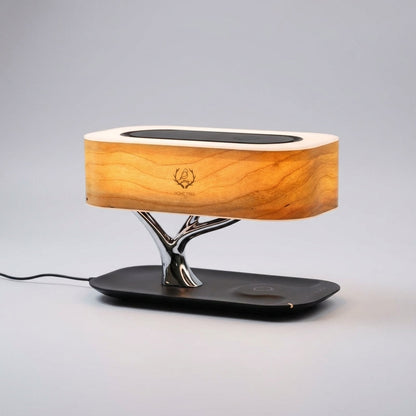 Multifunctional Desk Lamp -  Treonix