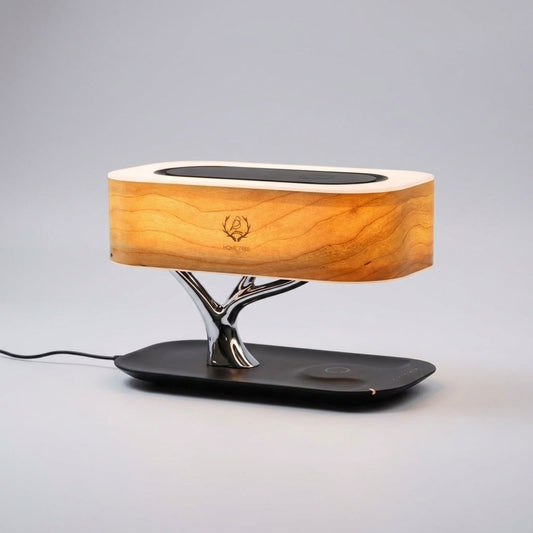Multifunctional Desk Lamp -  Treonix