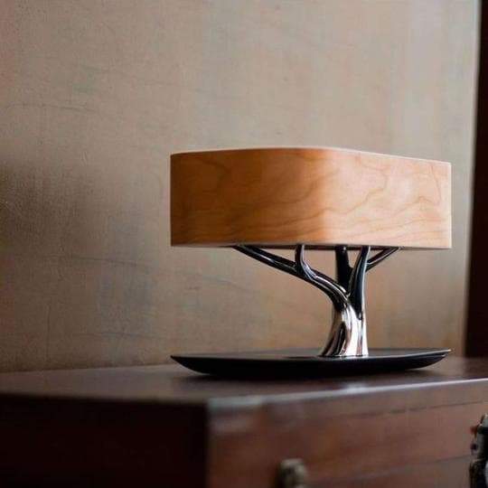 Multifunctional Desk Lamp -  Treonix