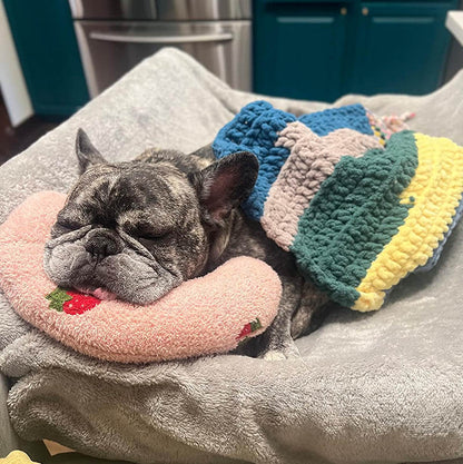 Schlafender Hund auf rosa Kissen, umgeben von bunten Decken, gemütlich auf grauem Sofa.