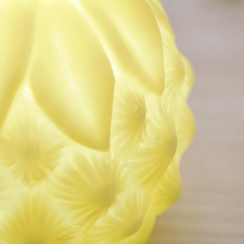Playful Fruit Shaped Lamp -  Glowpine