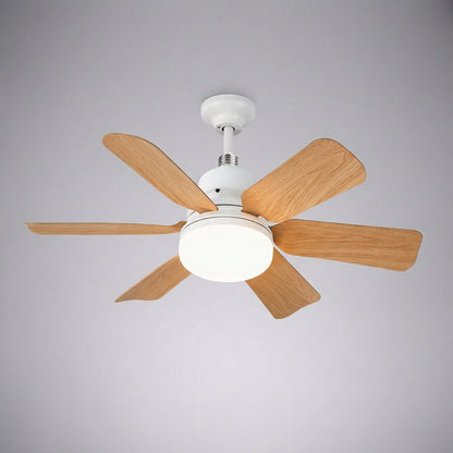 Remote Controlled Ceiling Fixture - SkyeLight