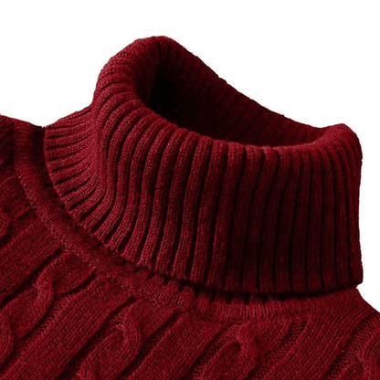 Ribbed Roll-Neck Men's Knitwear - Nicolas