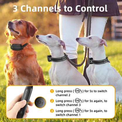 Elektriskt hundträningshalsband med 1000 m räckvidd och vattentät design – PetTrainer