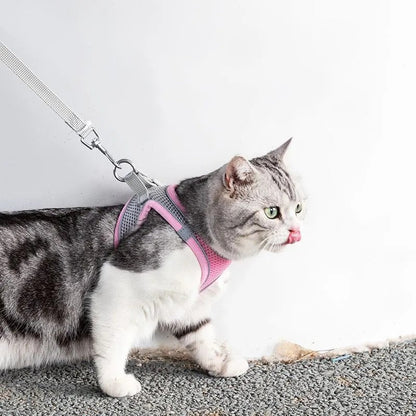 Justerbart kattsele med koppel – WhiskerWander